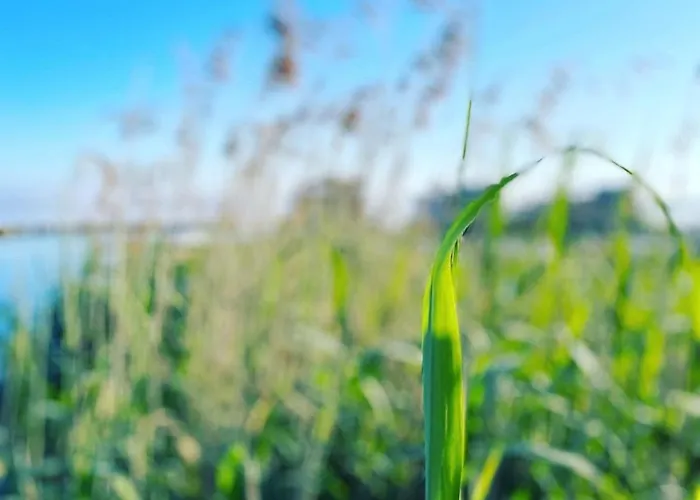 Lejlighed Strandhaus _ Eg_fewo *